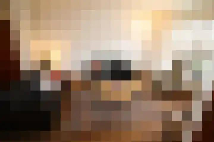 De Koolmees 68 Vriezenveen thumbnail 7