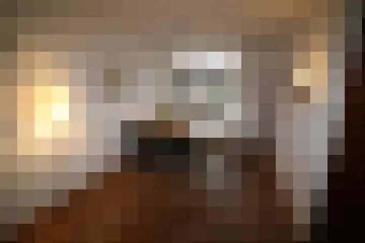 De Koolmees 68 Vriezenveen thumbnail 8
