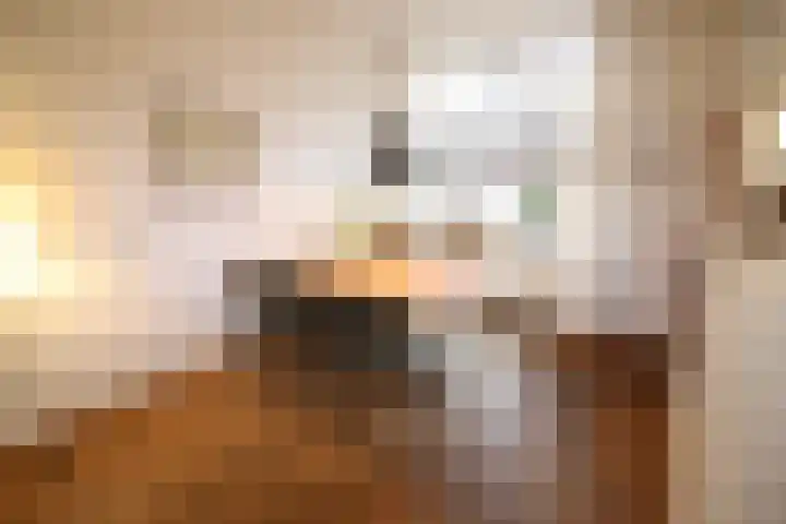 De Koolmees 68 Vriezenveen thumbnail 9