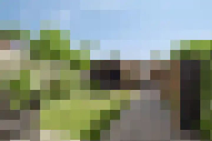 De Koolmees 8 Vriezenveen thumbnail 10