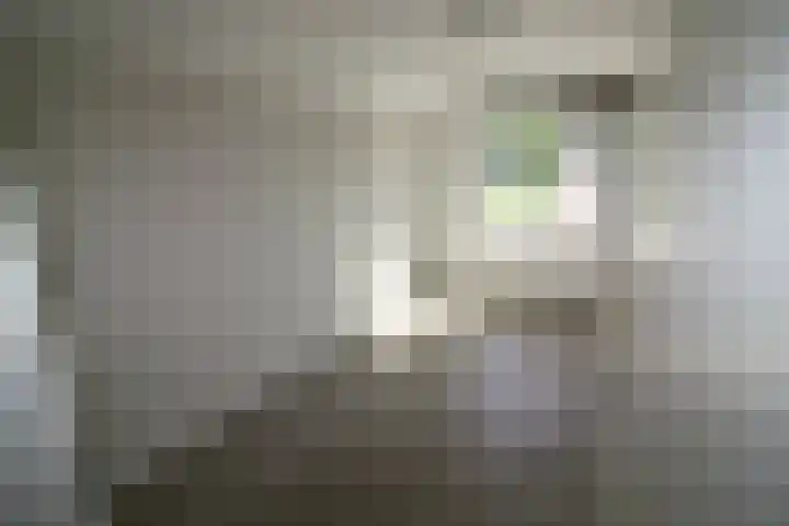 De Koolmees 8 Vriezenveen thumbnail 11