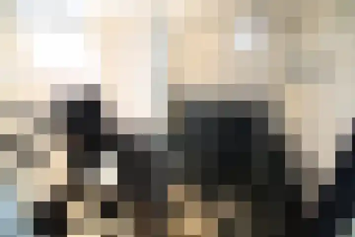 De Koolmees 8 Vriezenveen thumbnail 12