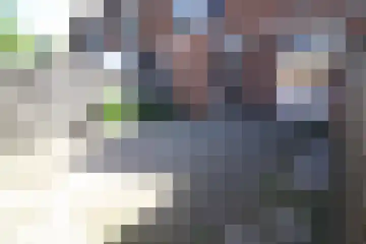 De Koolmees 8 Vriezenveen thumbnail 15