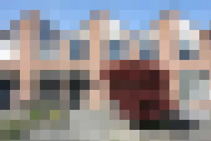 De Koolmees 8 Vriezenveen thumbnail 17