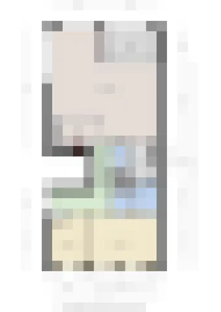 De Koolmees 8 Vriezenveen thumbnail 18
