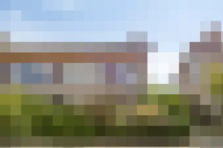 De Koolmees 8 Vriezenveen thumbnail 20