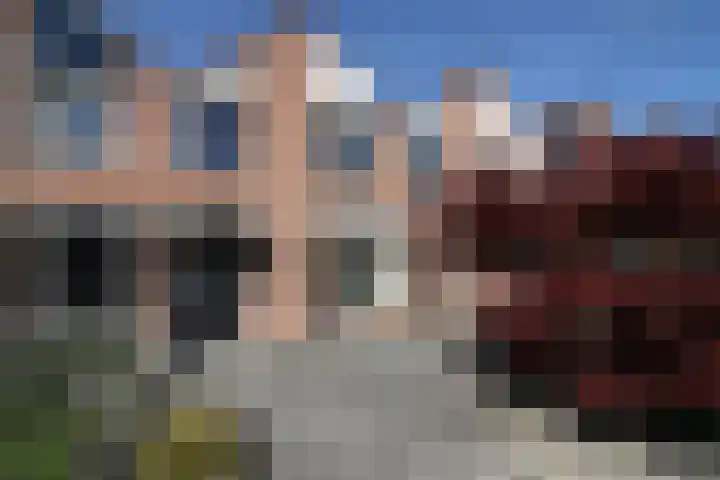 De Koolmees 8 Vriezenveen thumbnail 23