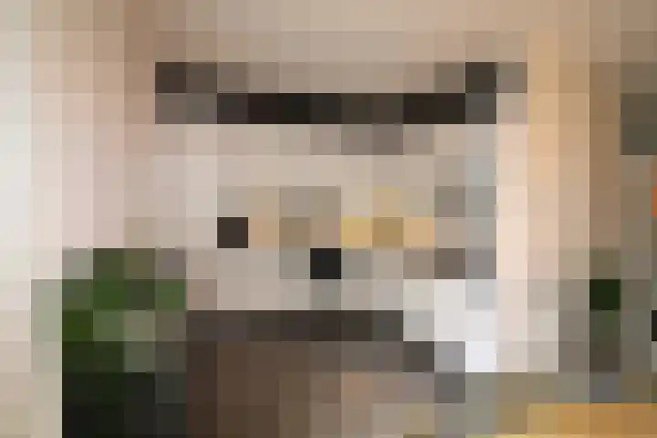 De Koolmees 8 Vriezenveen thumbnail 5