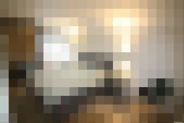 De Koolmees 8 Vriezenveen thumbnail 9