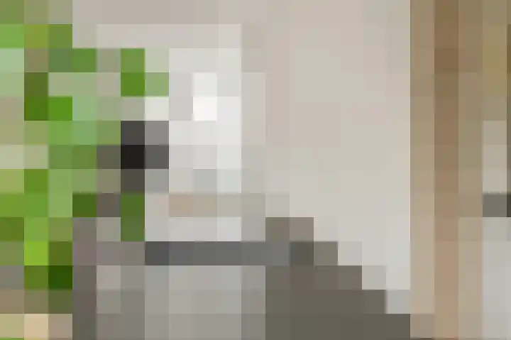 De Koome 4 Liessel thumbnail 15