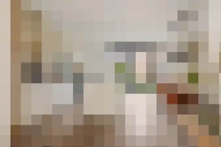 De Koome 4 Liessel thumbnail 16