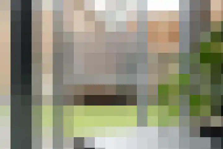 De Koome 4 Liessel thumbnail 19