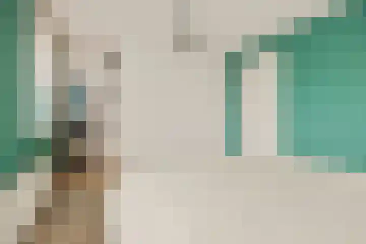 De Koome 4 Liessel thumbnail 25