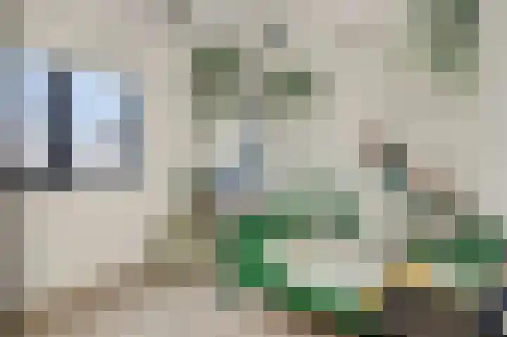 De Koome 4 Liessel thumbnail 29