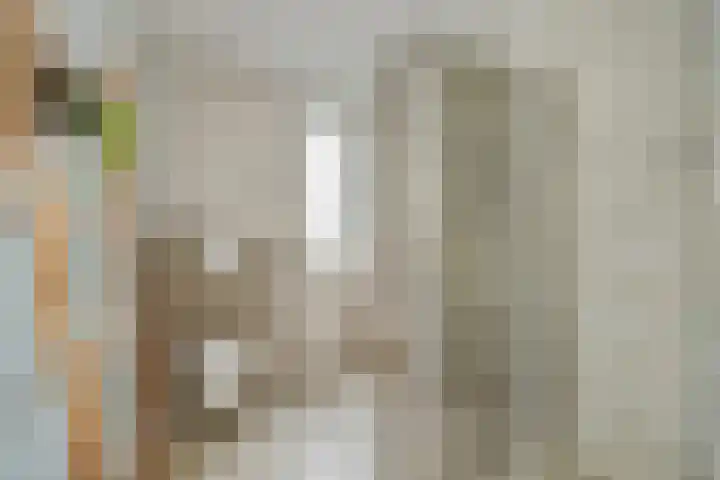 De Koome 4 Liessel thumbnail 4