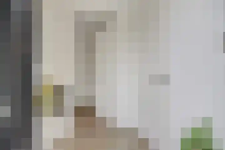 De Koome 4 Liessel thumbnail 9