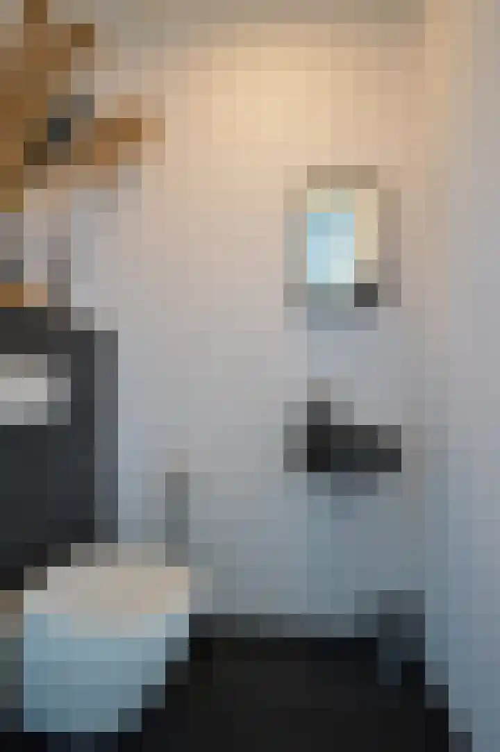 De Koome 6 Liessel thumbnail 10