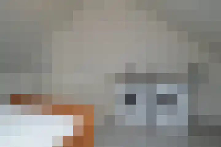De Koome 6 Liessel thumbnail 19