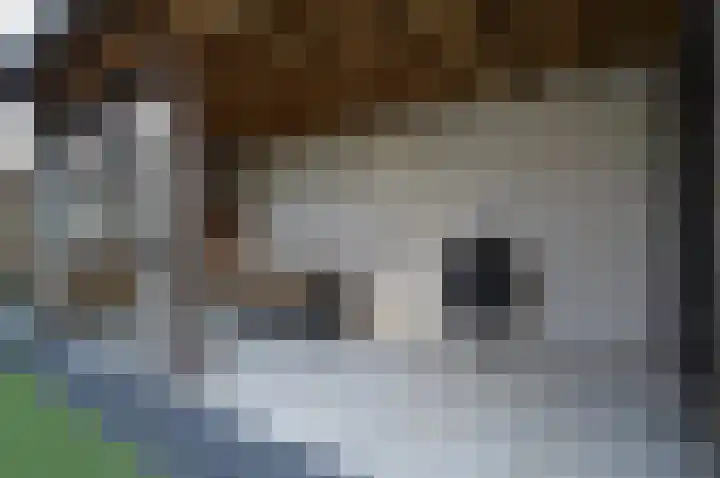 De Koome 6 Liessel thumbnail 23