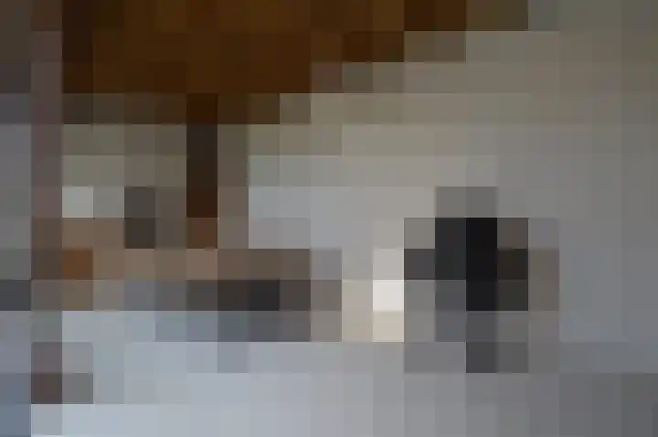 De Koome 6 Liessel thumbnail 24