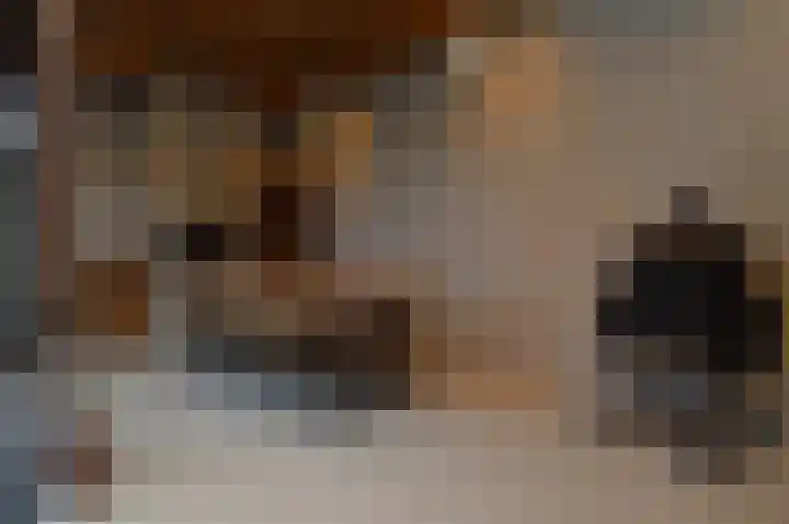 De Koome 6 Liessel thumbnail 29