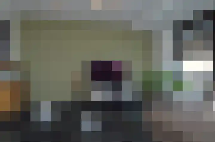 De Koome 6 Liessel thumbnail 4