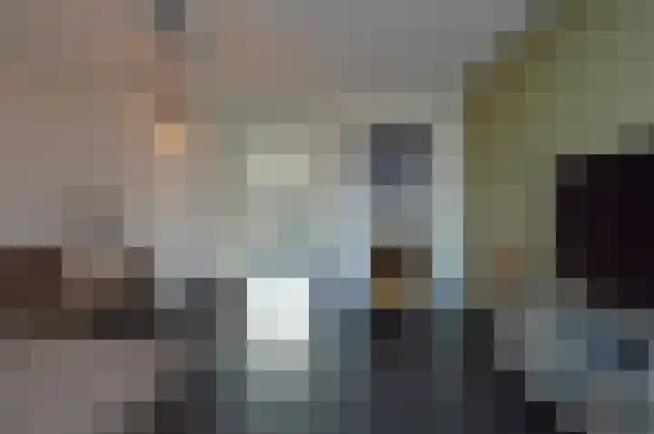 De Koome 6 Liessel thumbnail 5