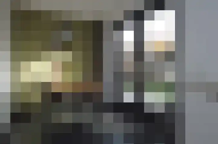 De Koome 6 Liessel thumbnail 8