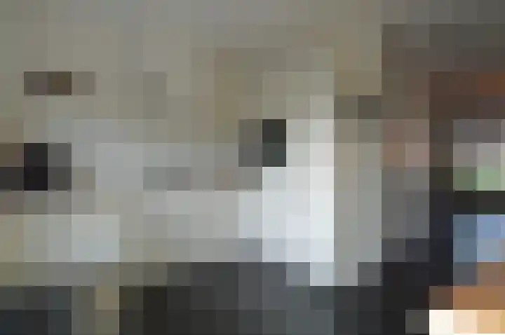 De Koome 6 Liessel thumbnail 9
