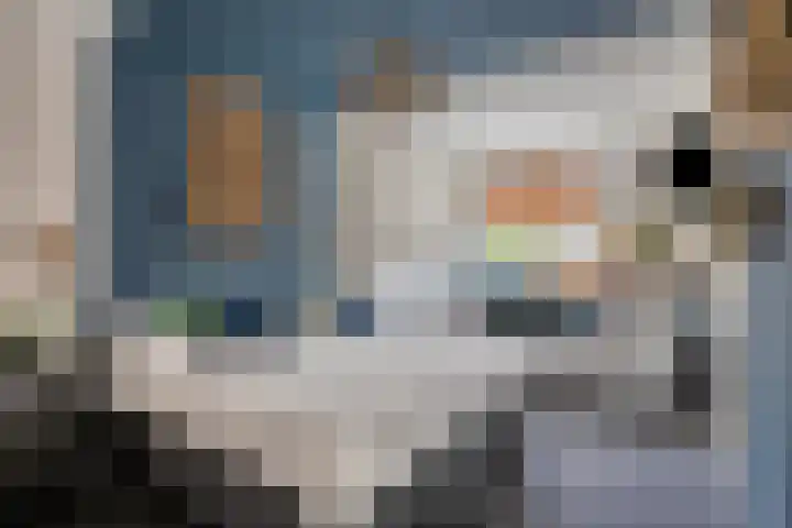 De Koop 23 Hoogland thumbnail 22