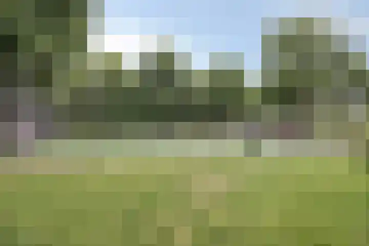 De Koop 83 Hoogland thumbnail 35