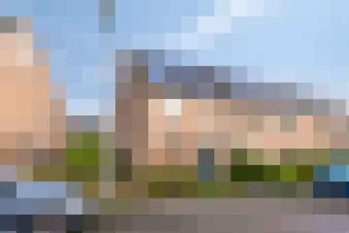 De Koop 83 Hoogland thumbnail 5