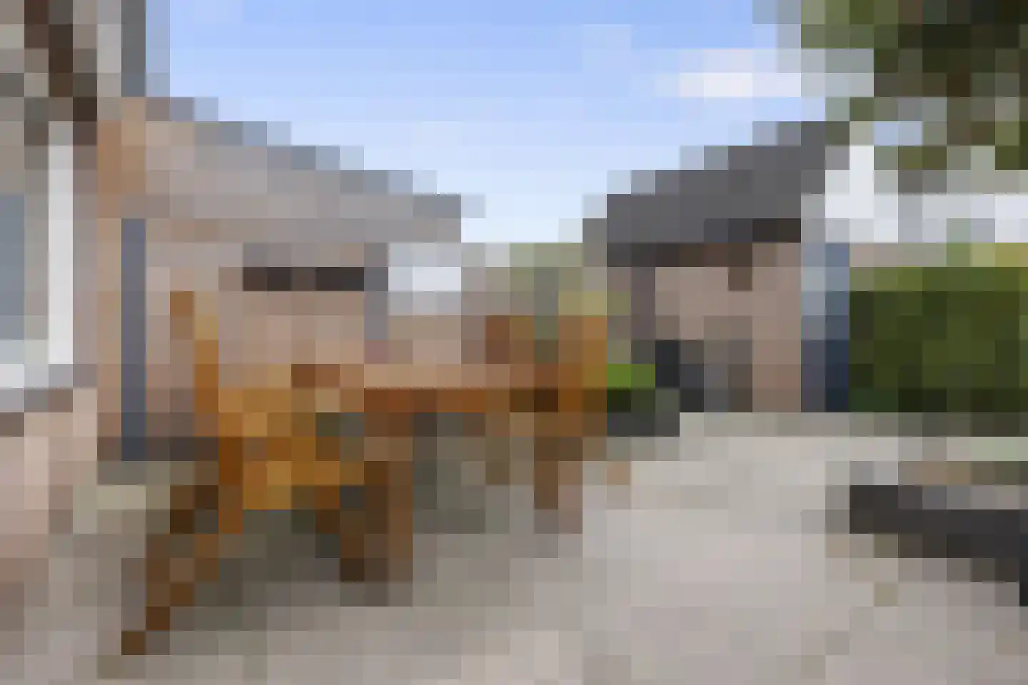 De Koop 84 Hoogland thumbnail 22