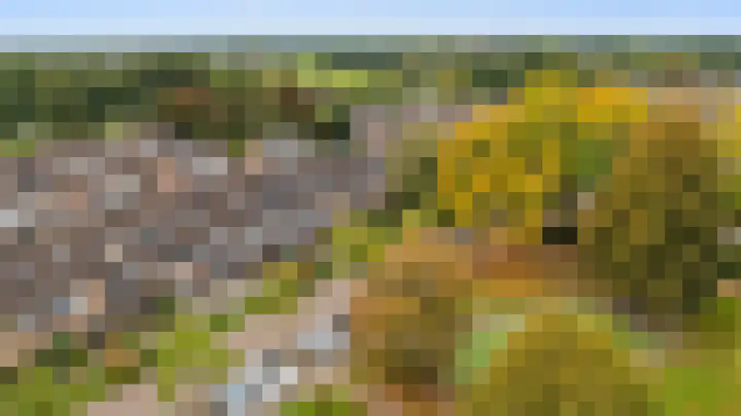 De Koop 84 Hoogland thumbnail 28