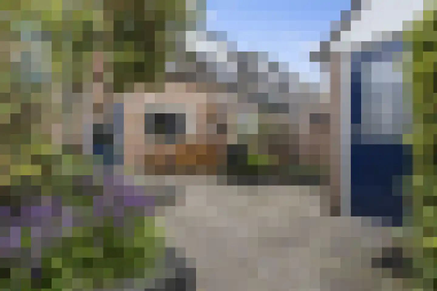 De Koop 84 Hoogland foto 3