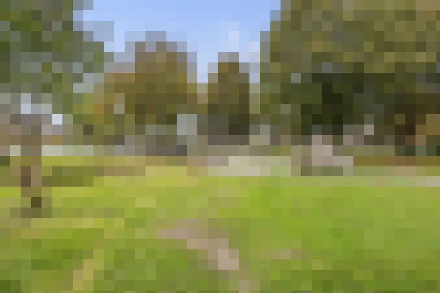 De Koop 84 Hoogland thumbnail 4