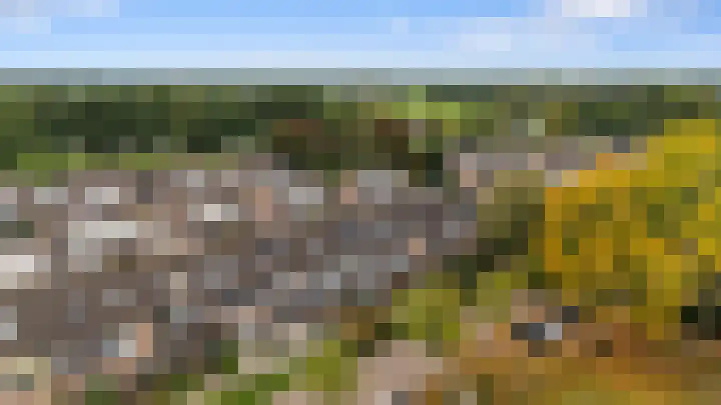 De Koop 84 Hoogland thumbnail 5