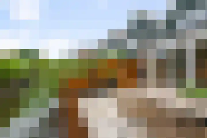De Koopman 18 Zaandam thumbnail 22