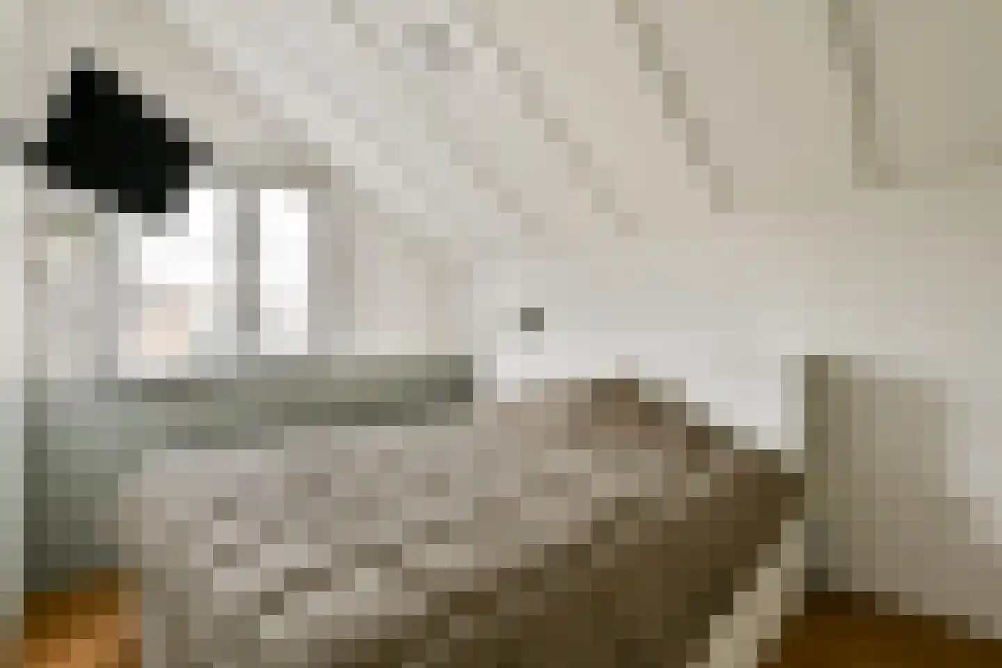 De Koopman 44 Zaandam thumbnail 18