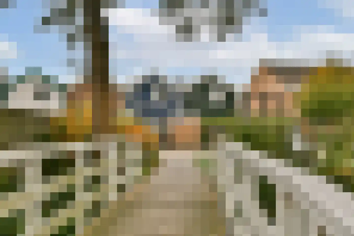 De Koopman 44 Zaandam thumbnail 26