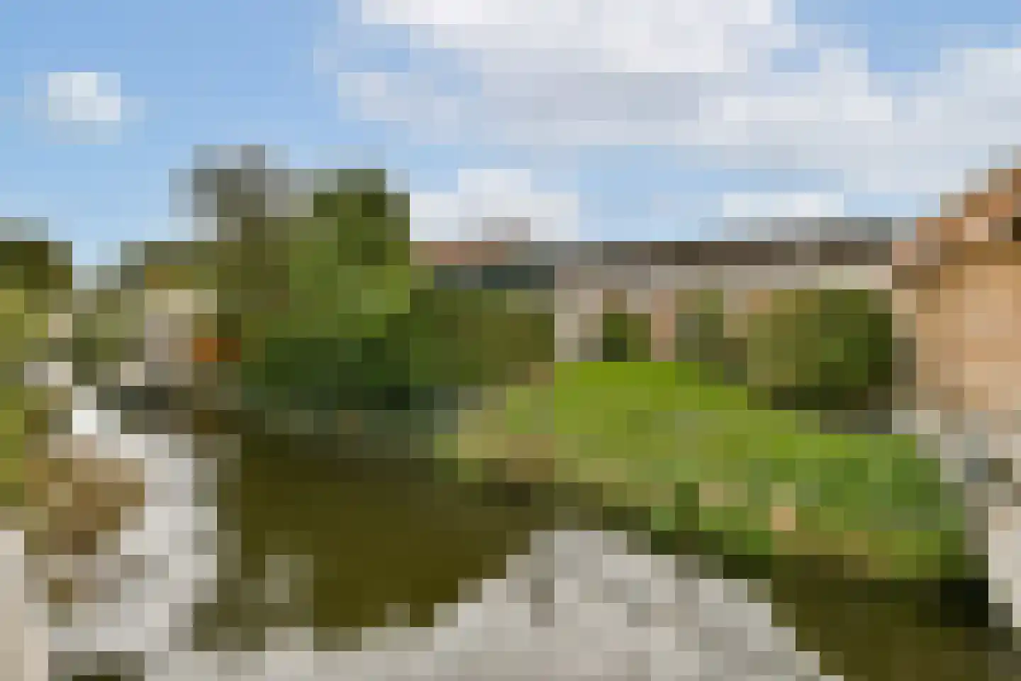 De Koopman 44 Zaandam thumbnail 6