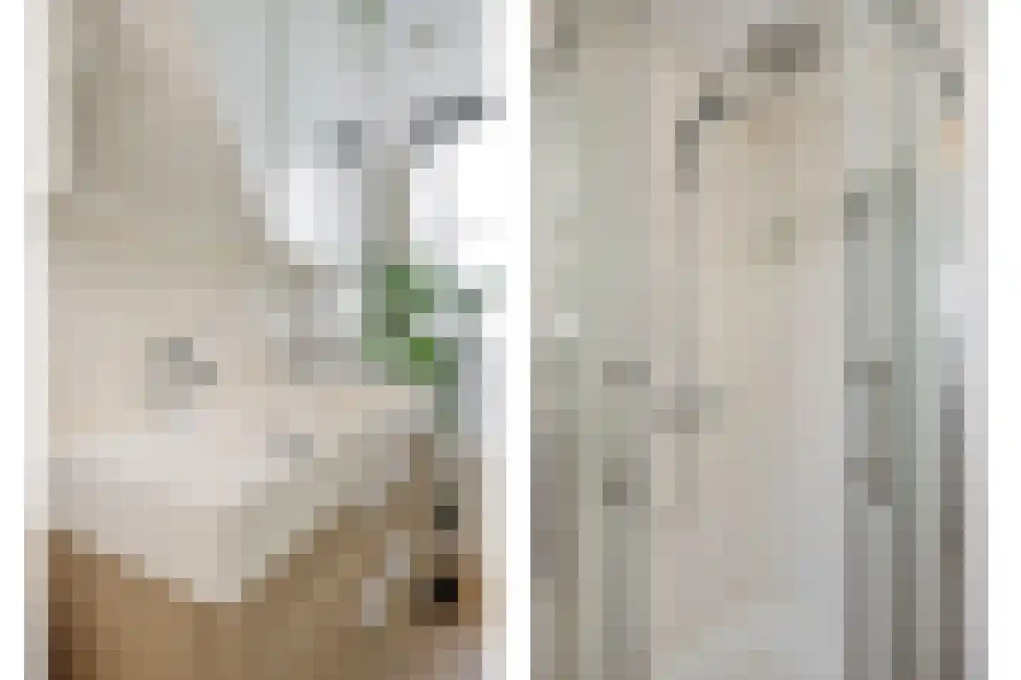 De Koperslager 1 Sint-Michielsgestel thumbnail 20