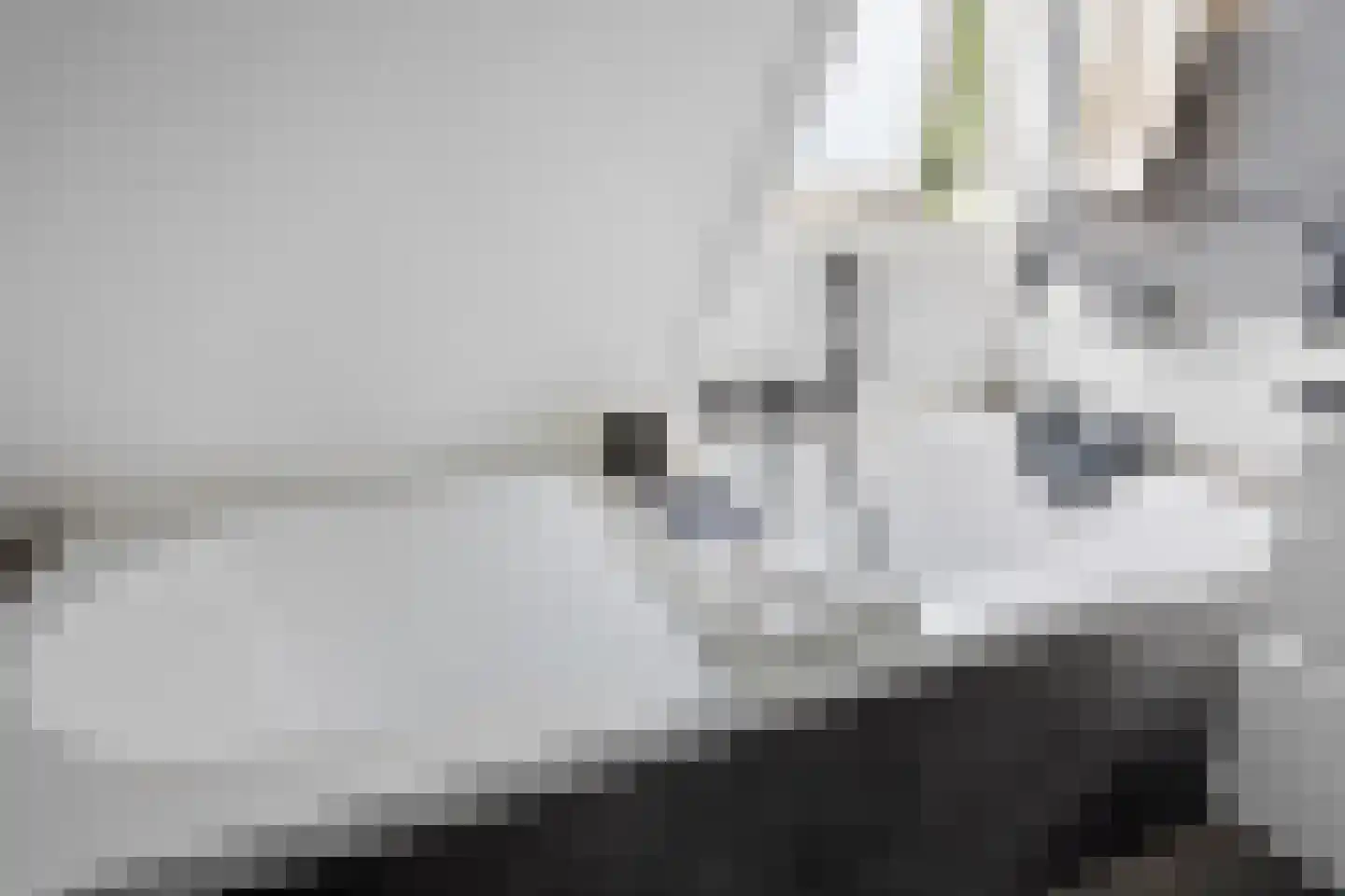 De Koperslager 15 Sint-Michielsgestel thumbnail 25
