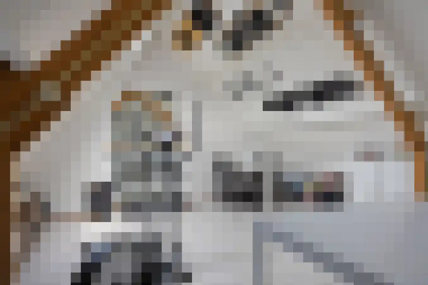 De Koperslager 15 Sint-Michielsgestel thumbnail 27