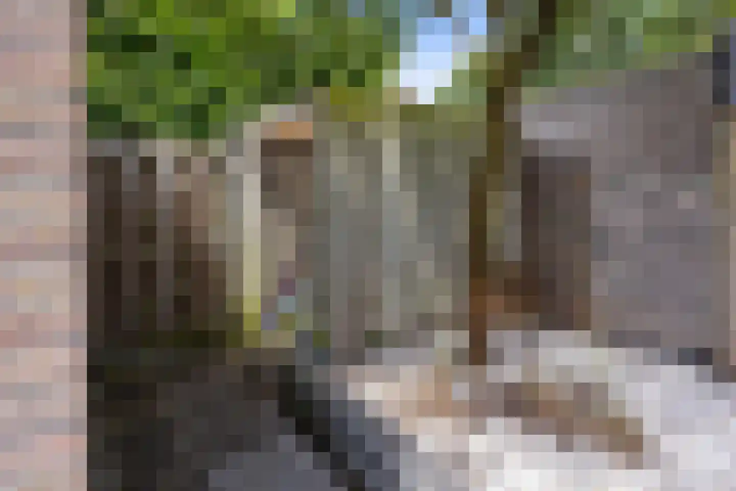 De Koperslager 15 Sint-Michielsgestel thumbnail 37