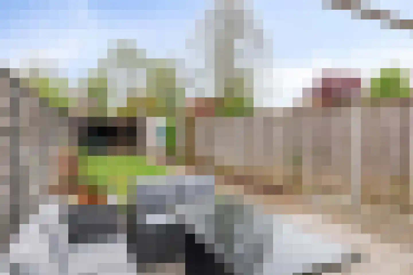 De Koperslager 16 Sint-Michielsgestel thumbnail 31