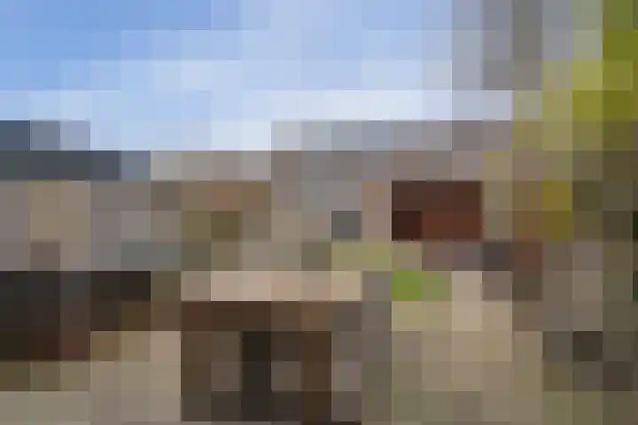 De Koperslager 19 Sint-Michielsgestel thumbnail 20