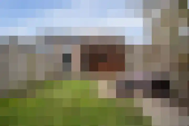 De Koperslager 19 Sint-Michielsgestel thumbnail 21