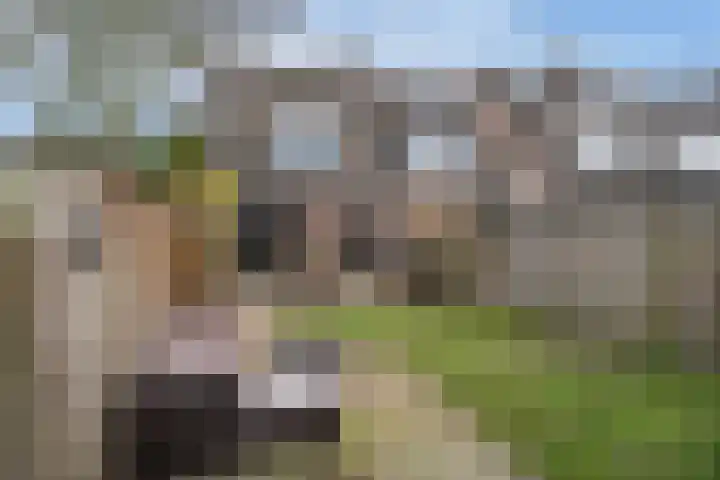 De Koperslager 19 Sint-Michielsgestel thumbnail 22