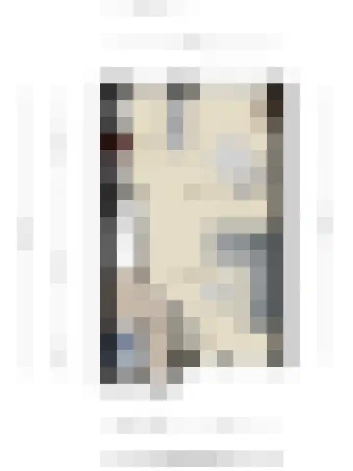 De Koperslager 19 Sint-Michielsgestel thumbnail 26